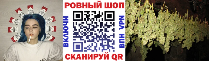 Где купить Макарьев A PVP  АМФ  Гашиш  Меф  Бошки Шишки  Cocaine 