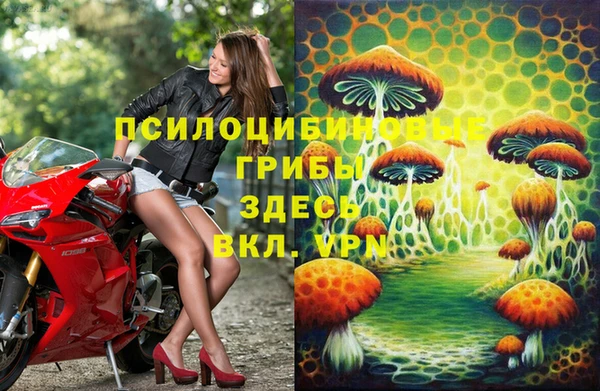прущая мука Аркадак
