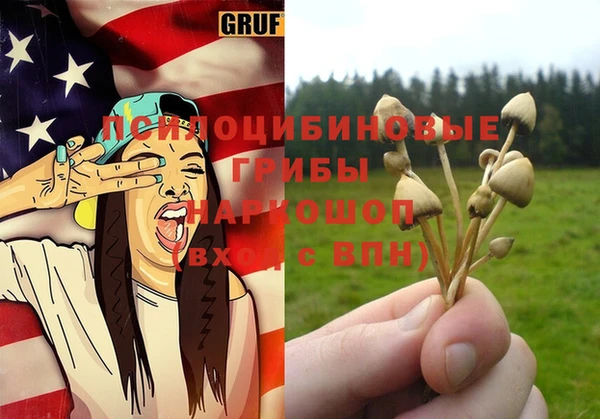 прущие крисы Армянск