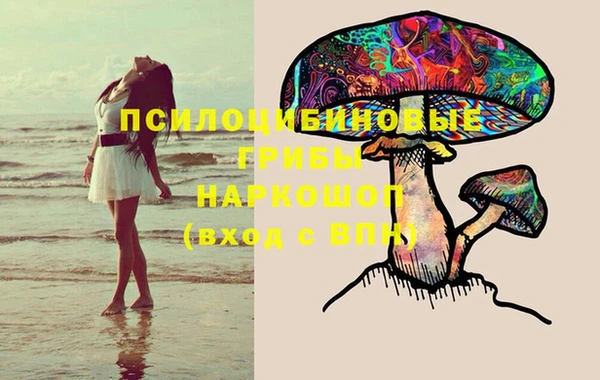 прущая мука Аркадак