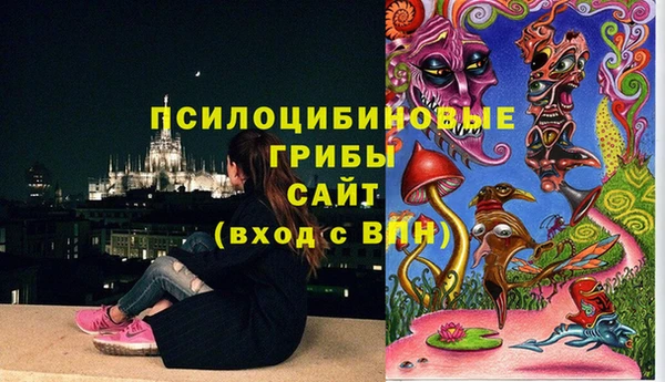 прущая мука Аркадак