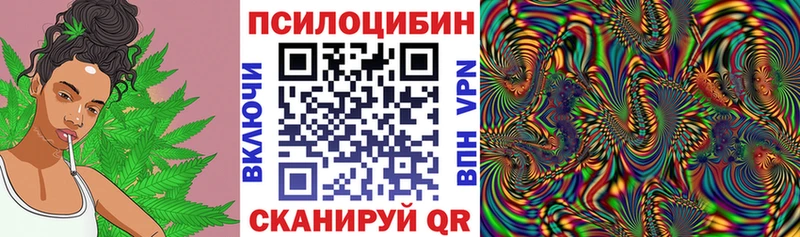 darknet Telegram  Макарьев  Галлюциногенные грибы мухоморы  где купить  